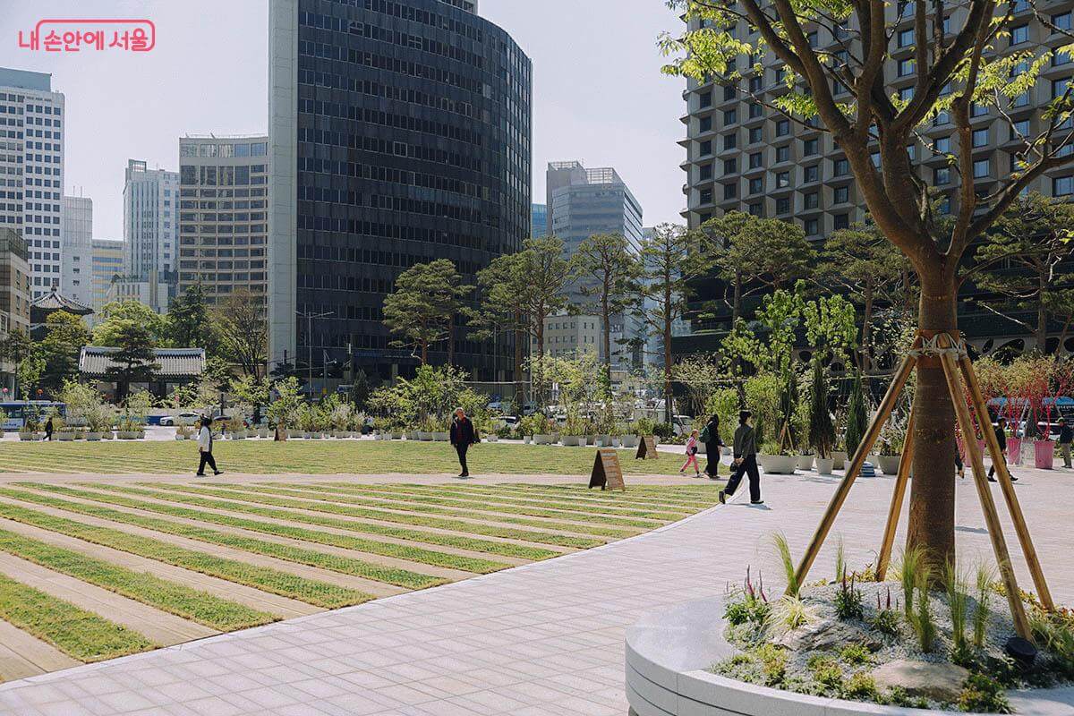 서울광장의 어제와 오늘