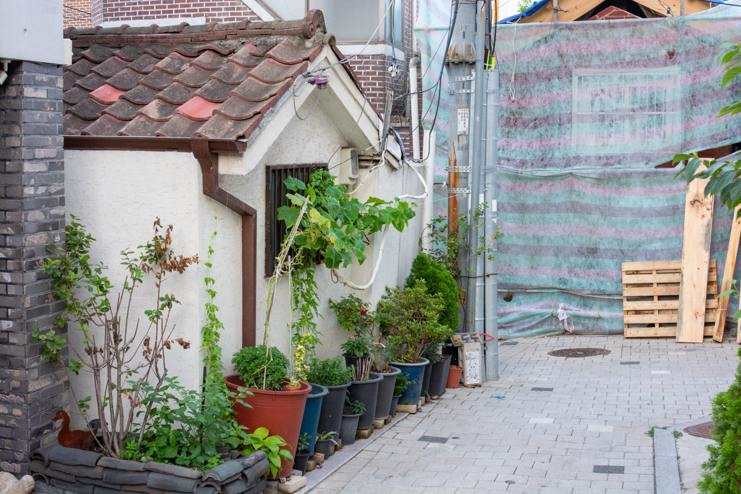 서촌 골목 맛집 여행