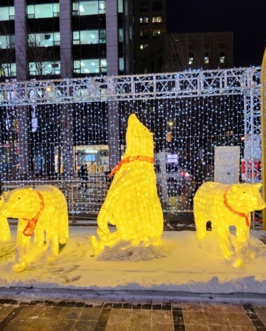 서울 청계천 &amp;#39;겨울&amp;#44; 청계천의 빛&amp;#39; 행사소개&amp;#44; 축제안내&amp;#44; 관련영상