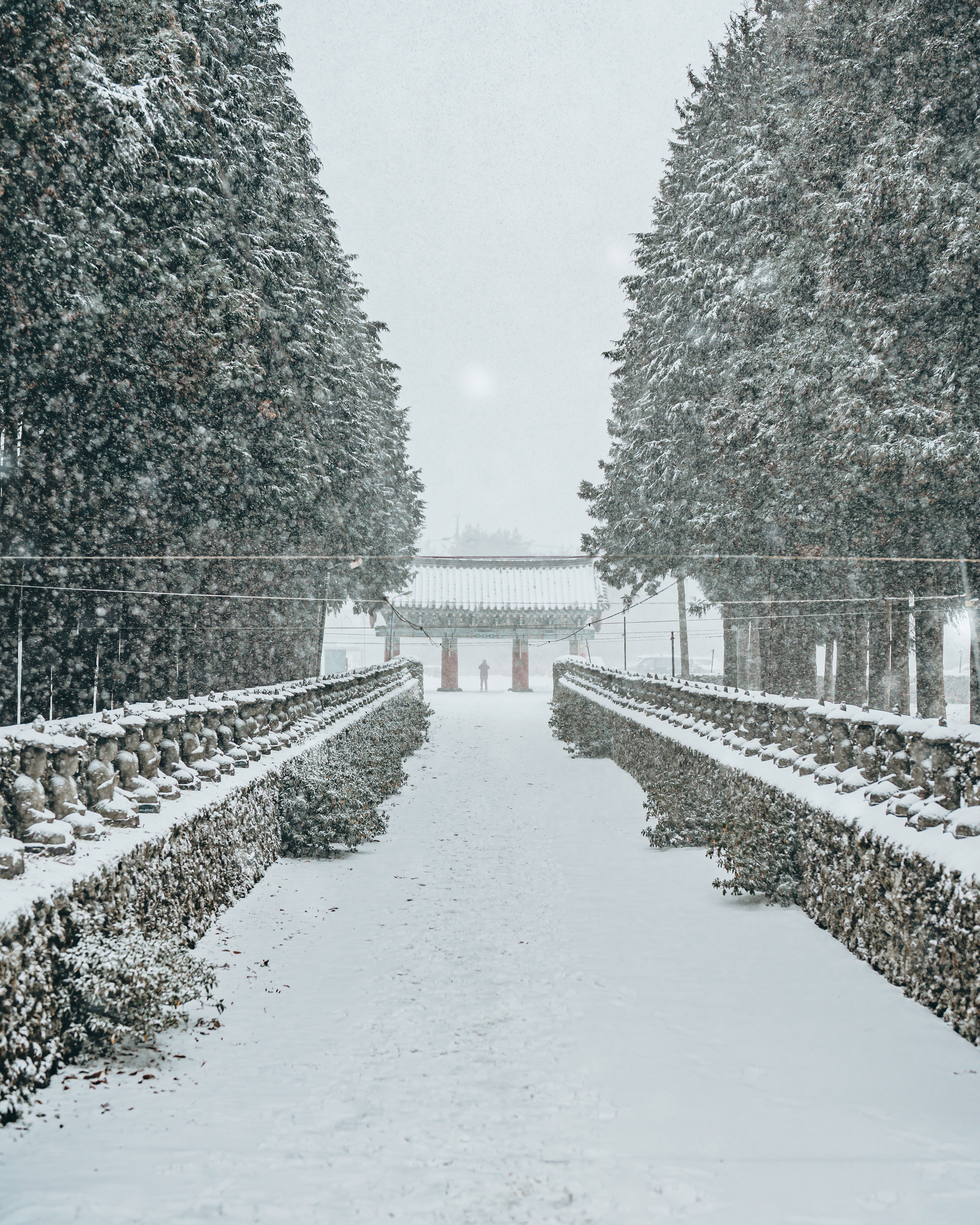 Alpha 7 IVㅣSEL50F12GMㅣ@kisoo.jung