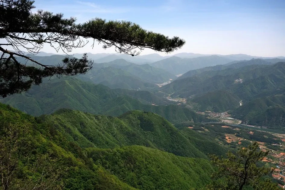 태화산 등산코스