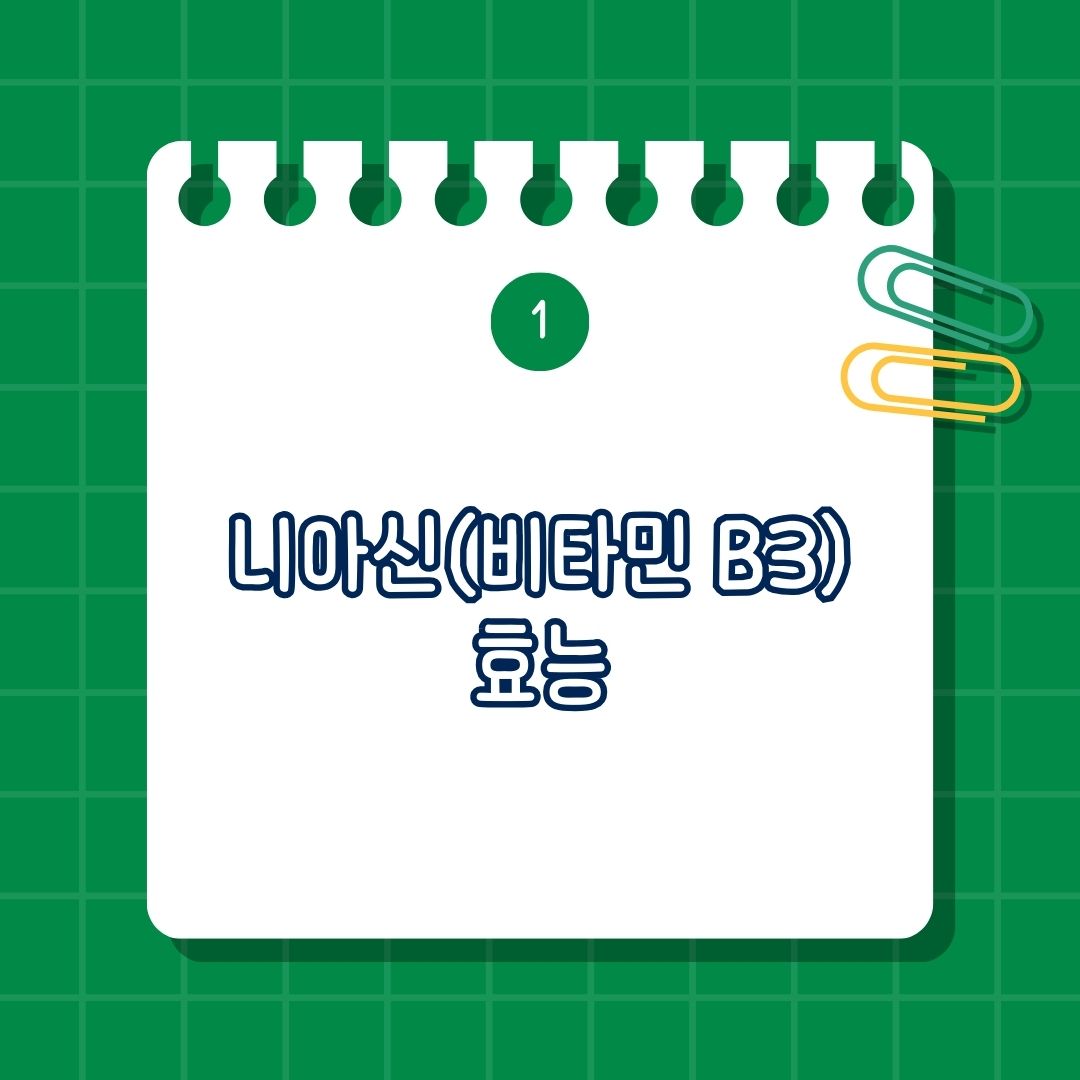 니아신(비타민 B3) 효능, 효과