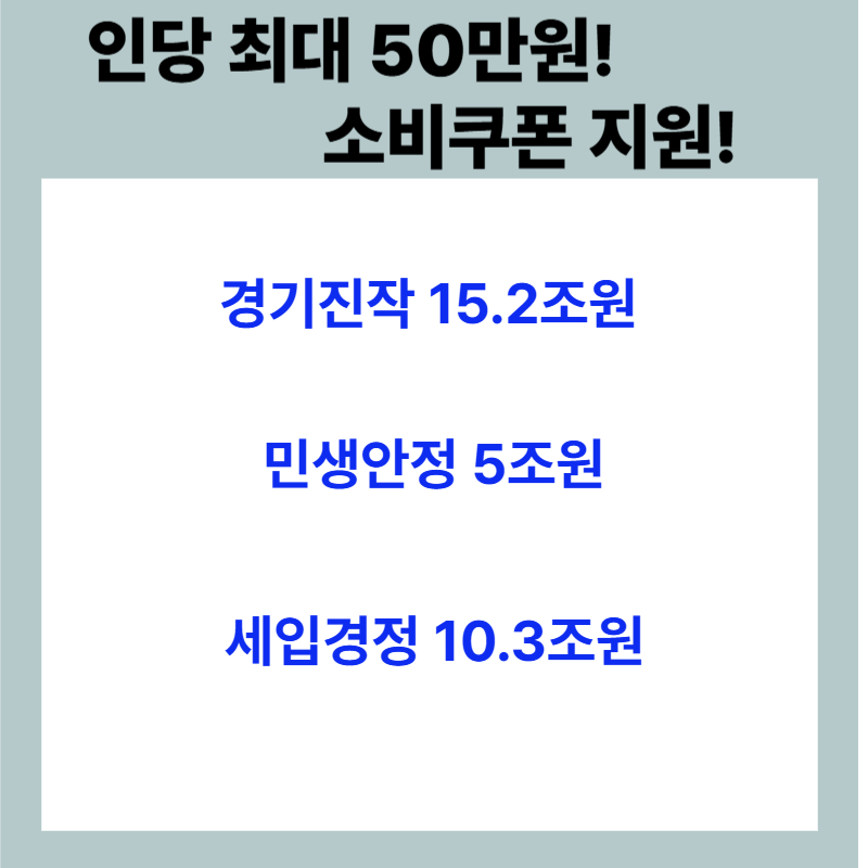 1인당 최대 50만원 '소비쿠폰' 지원 정부,