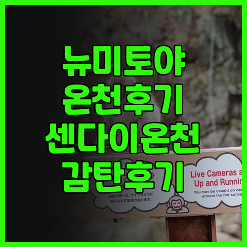호텔 뉴 미토야 온천 후기.. 센다이