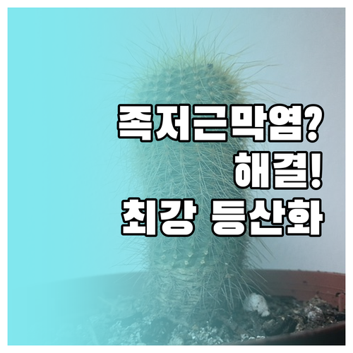 족저근막염에 좋은 등산화 추천 모델..