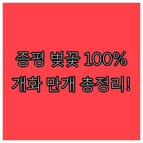 2026년 증평군 벚꽃 개화 시기 및..