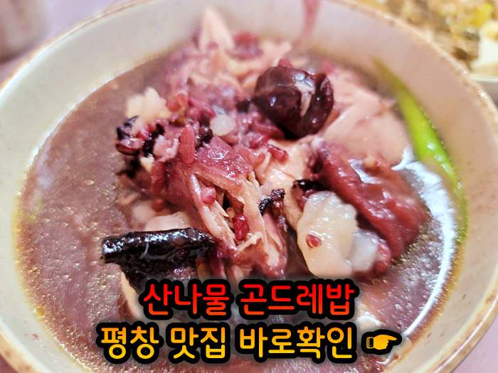 강원 평창 맛집 황태구이 곤드레밥 정식