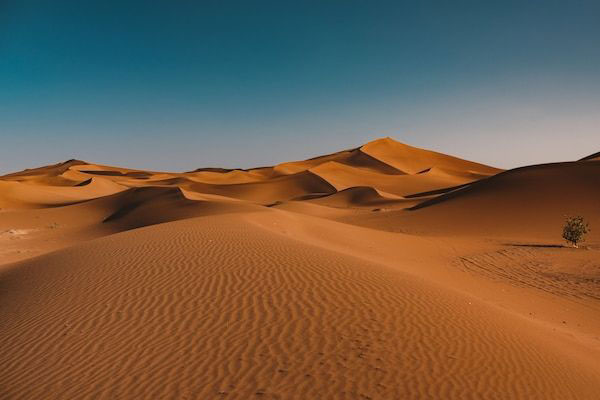 미토를 상징하는 사막