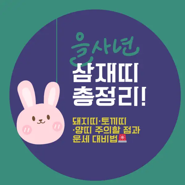2025년 삼재띠 총정리!