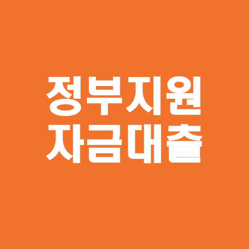 정부지원 자금대출이라고 작성된 사진