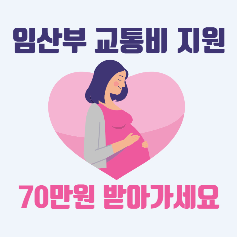 서울시 임산부 교통비 지원