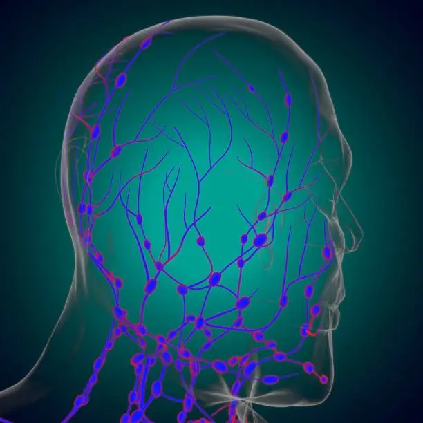 뉴럴링크 관련주 수혜주