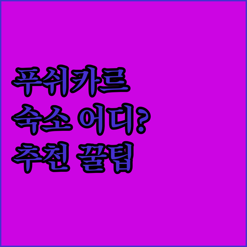 푸쉬카르 최고의 숙소는 어디? 🏨 호..