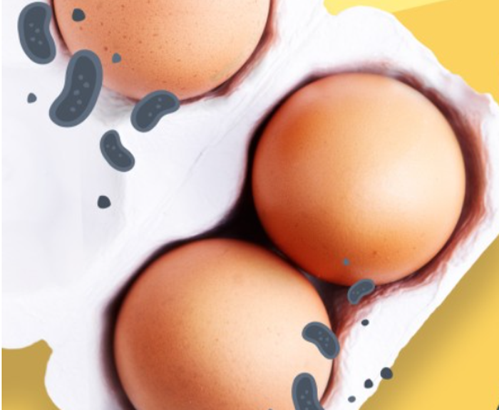 살모넬라균 예방, 계란 보관법