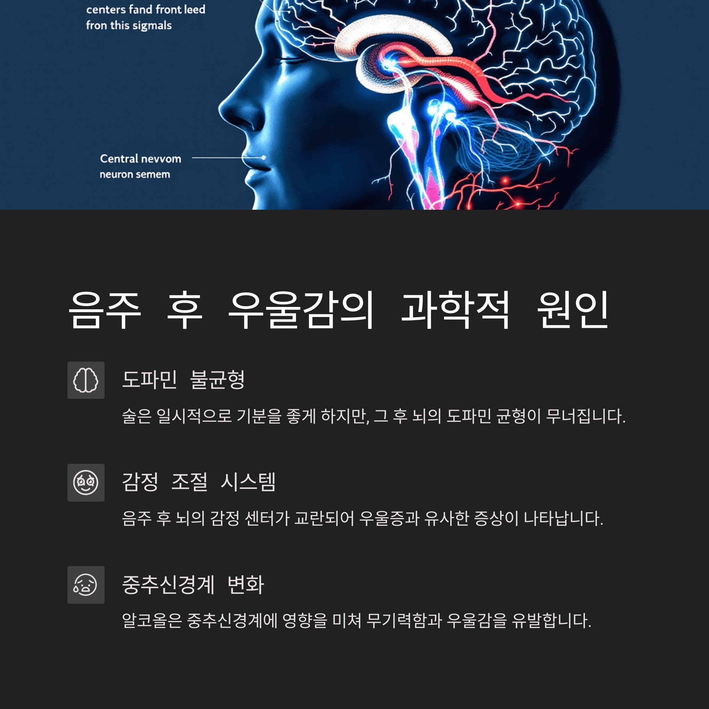 음주 후 우울감의 과학적 원인