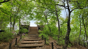 금병산등산