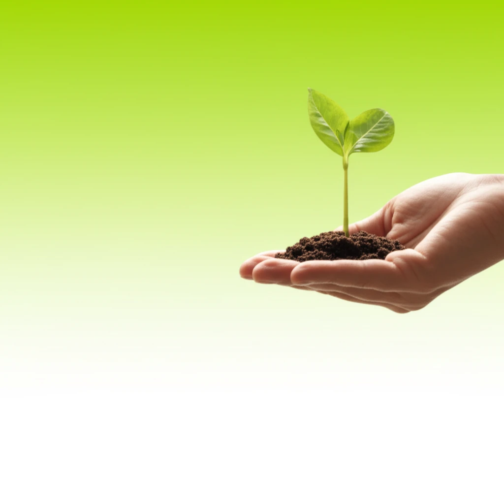 귤레귤레, 고객 중심 철학으로 삶의 ..