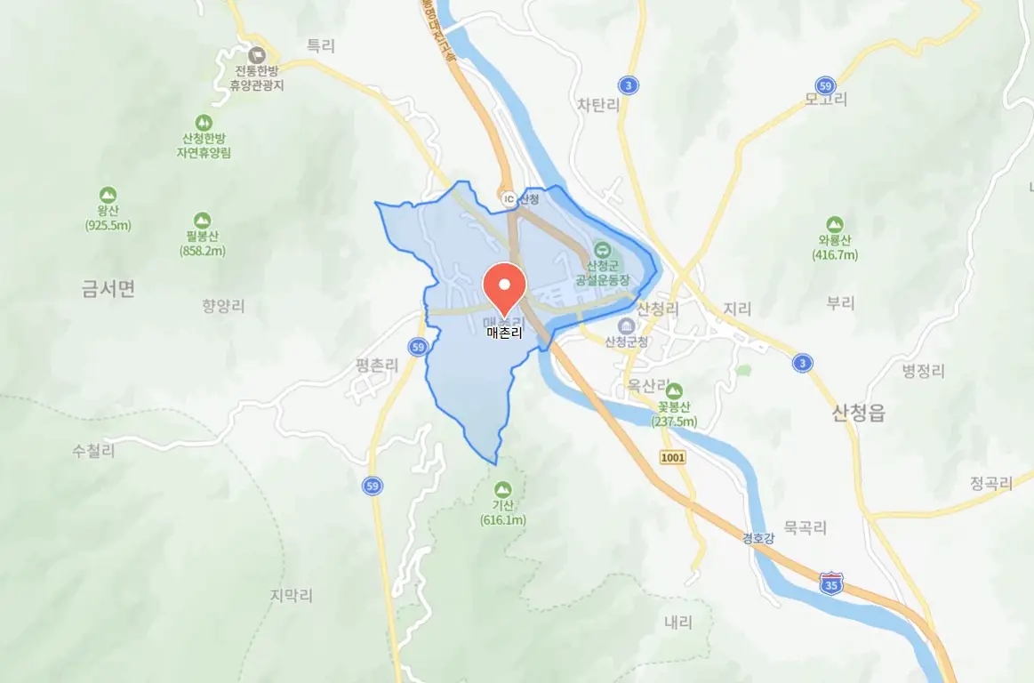 산청한방약초축제