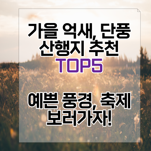 가을 억새, 단풍 산행지 추천 TOP 5