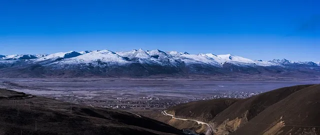 닭도리탕 맛있게 만드는법 총정리_3