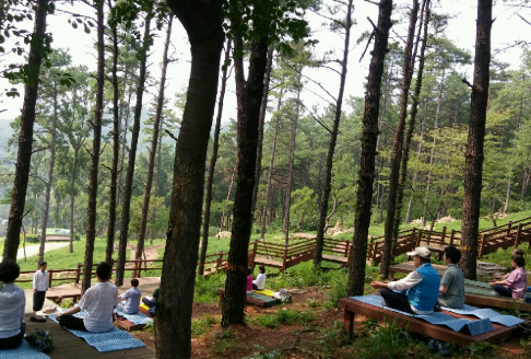 율곡수목원 & 전망대