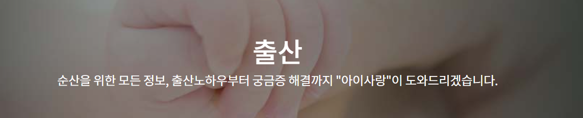 출산 지원금 장려금 2024