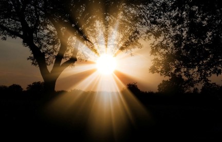 ‘골다공증’은 노화가 아닌 질병! 삶의 질 무너뜨리는 골다공증