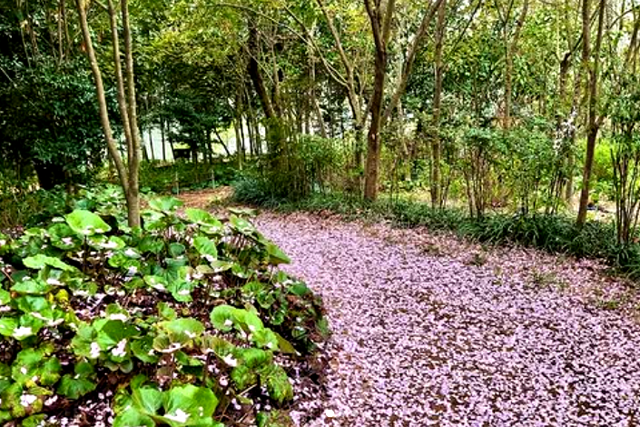 특색있고 아름다운 민간 정원 30선 추천 여행 - 08. 해남 문가든