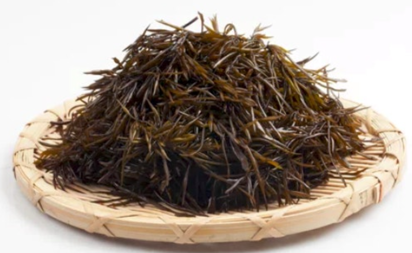 톳의 모든것 관련 사진