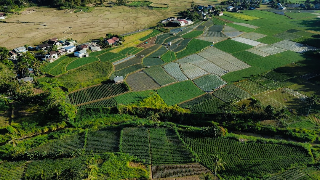 Agricultural zone