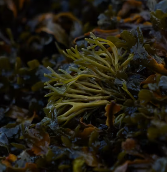 나트륨 배출에 좋은 음식 방법 몸속 돕는 칼륨