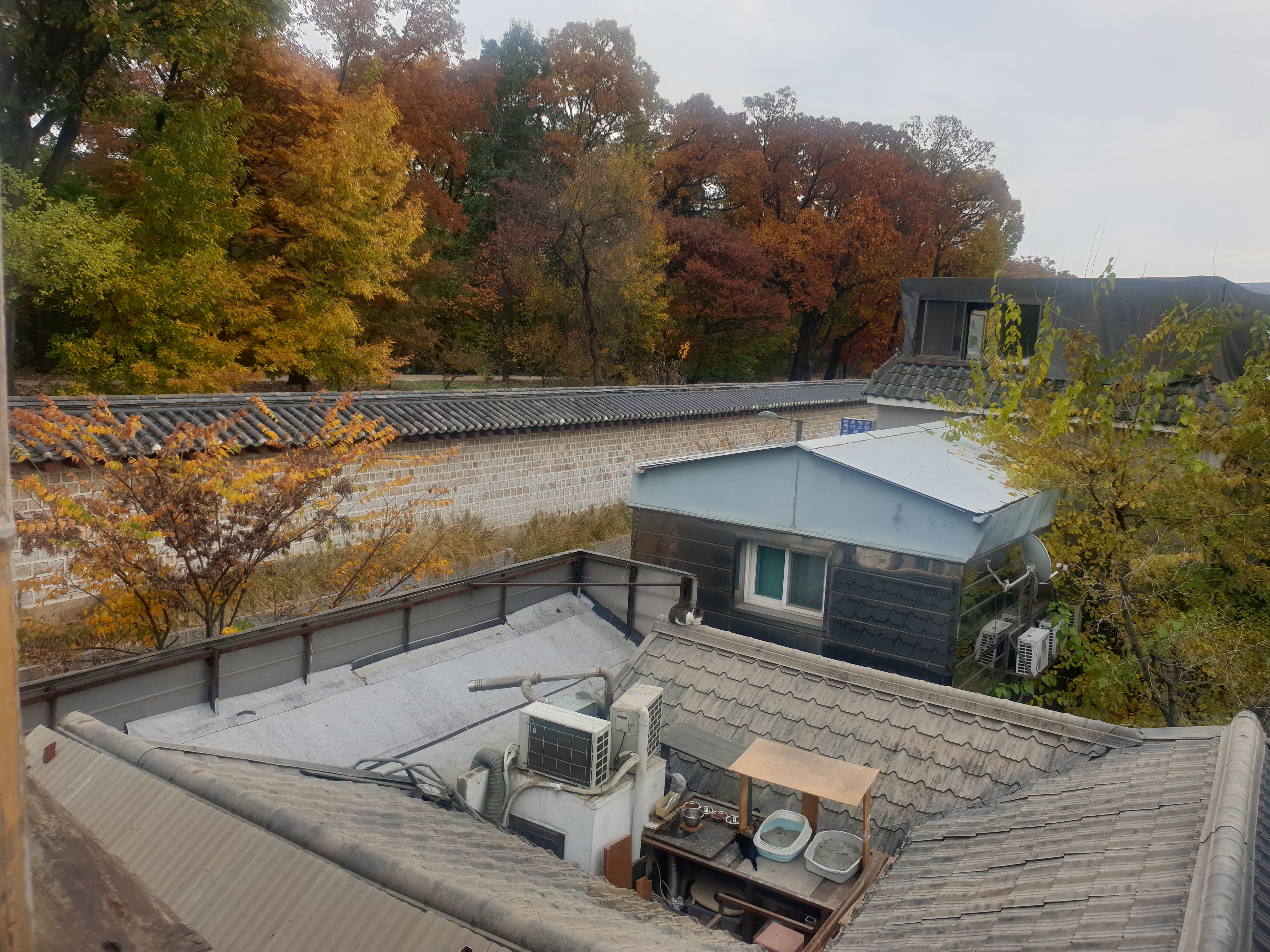 트마리 루프탑에 바라본 종묘