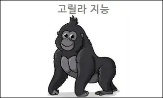 고릴라 지능
