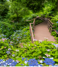 νλ΄μ² μ κ²½μ¬μ§