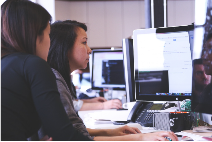 1인 창업 vs 공동 창업 (책임 분배, 리스크, 수익성)