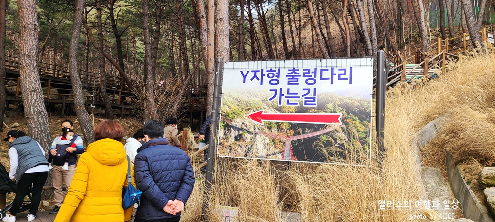 거창 Y 자형 출렁다리 (입장권 현장구매가능) 경남 가볼만한곳