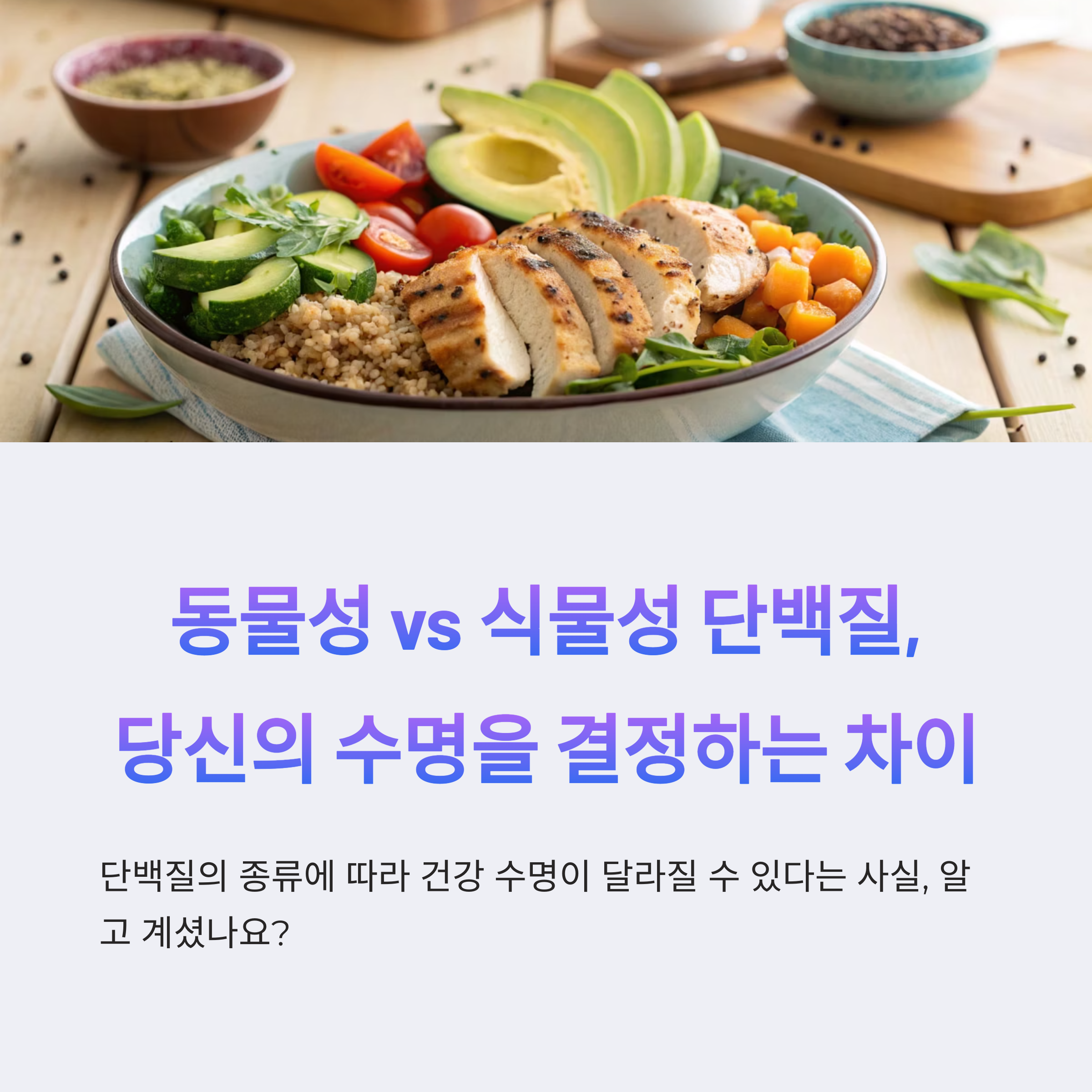 동물성 단백질과 식물성 단백질