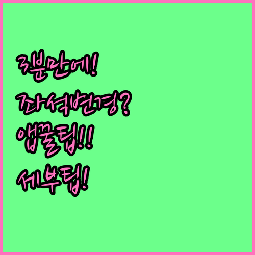 세부퍼시픽 항공 좌석 변경, 앱으로 ..