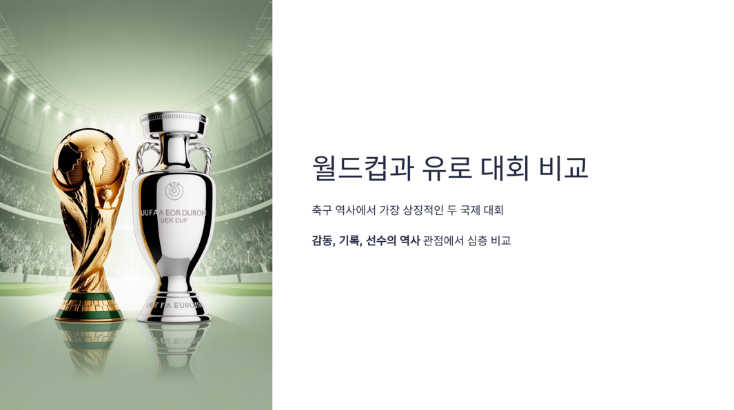 월드컵과 유로대회 비교