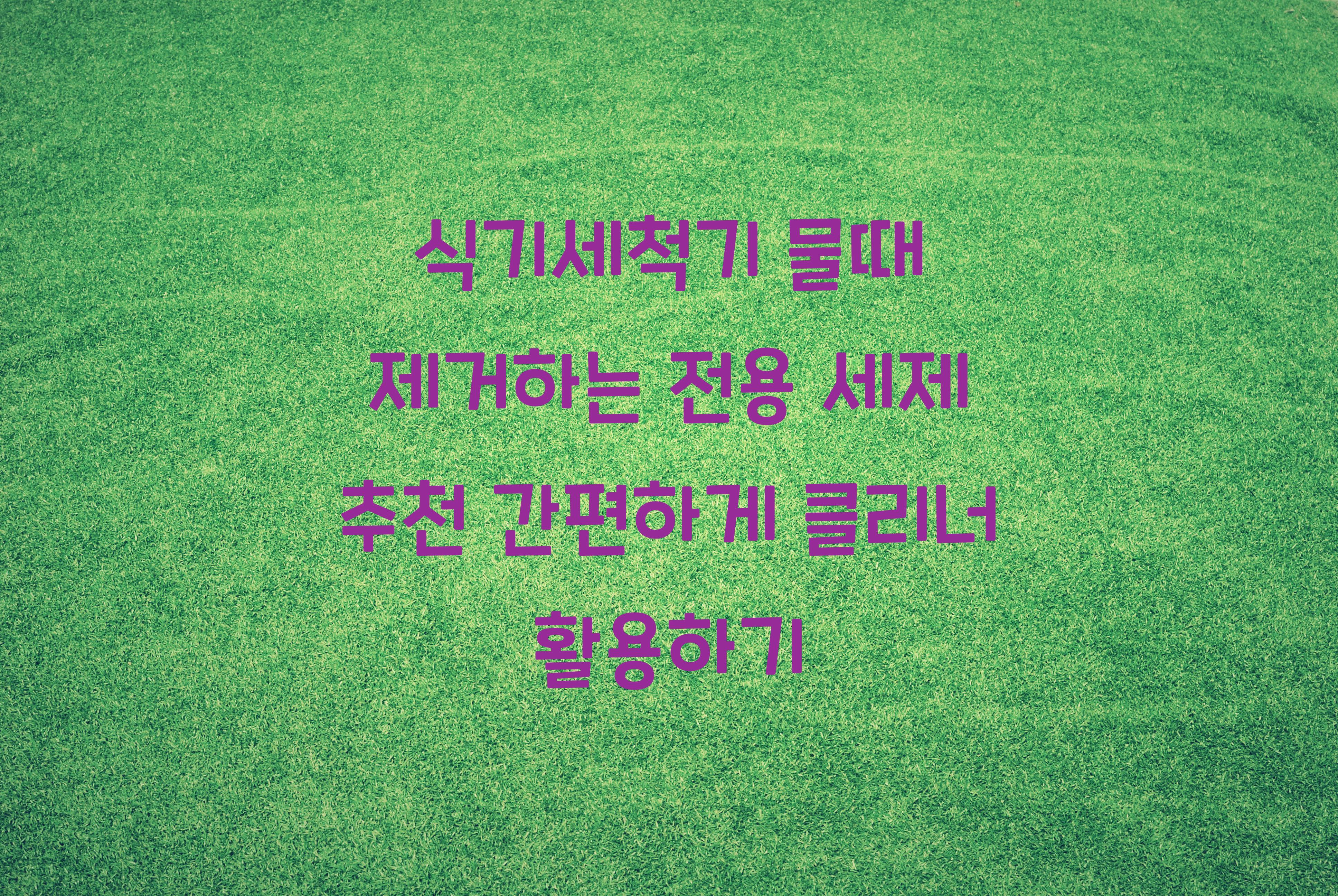 식기세척기 물때 제거하는 전용 세제 추천