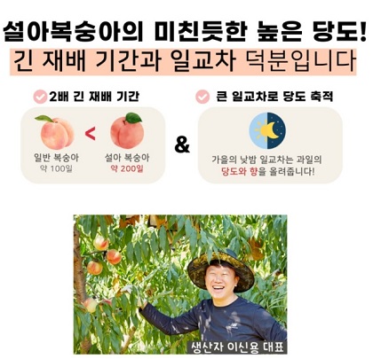 높은당도복숭아