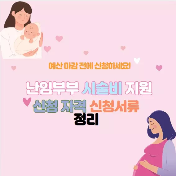 난임부부시술비지원
