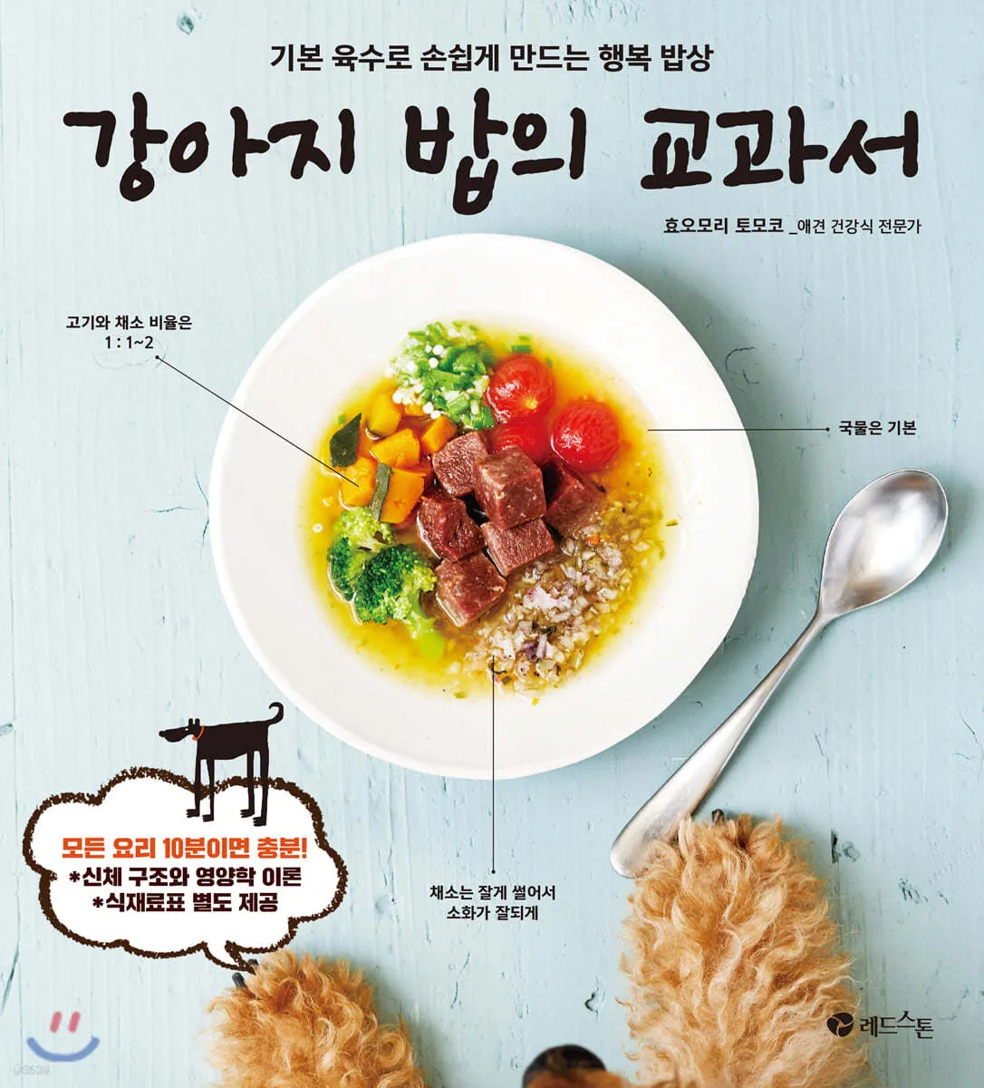 강아지 밥 거부 9가지 원인과 해결책 총정리_8