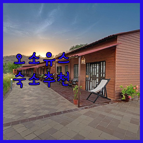 오소유스 완벽 숙소 가이드 월넛 비치..