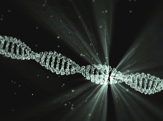 dna 분석 기술