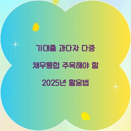 기대출 과다자 다중 채무통합
