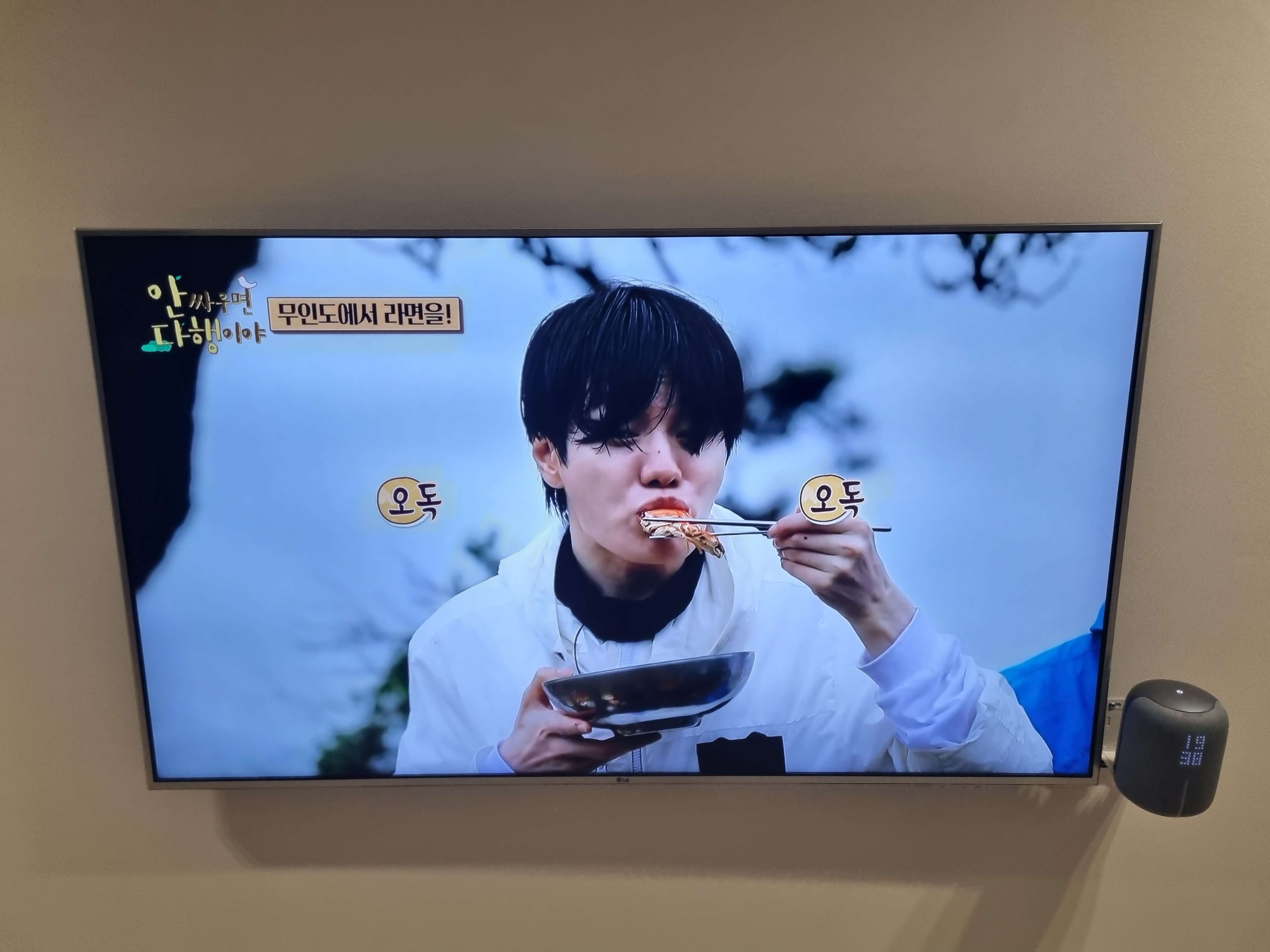 반매립 지니