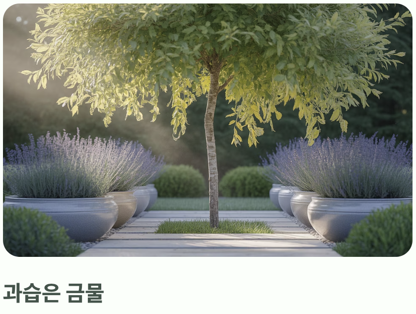 물을 사랑하는 나무, 그러나 과습은 금물