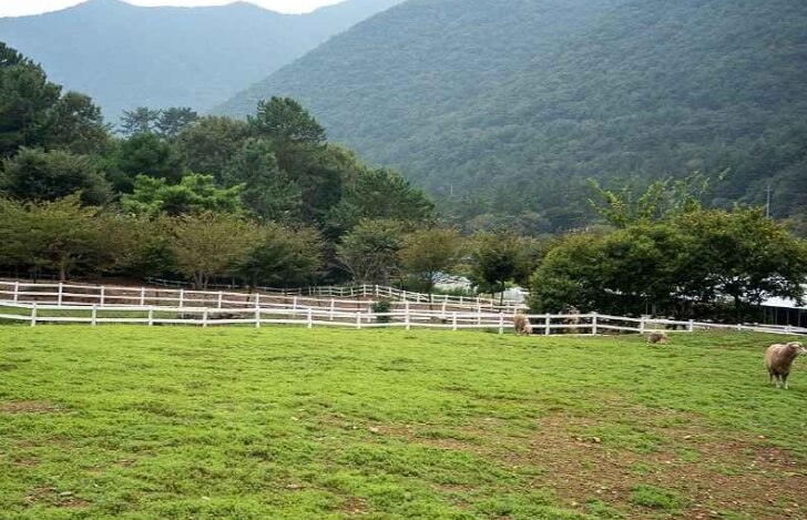 남해 가볼만한곳 베스트 10