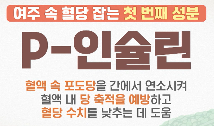 여주 효능